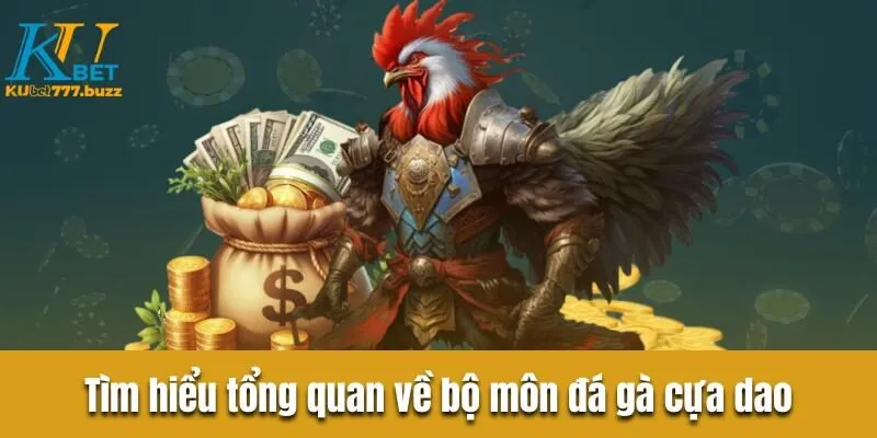 Đá gà cựa dao - Hình thức cược hấp dẫn vạn người mê Tìm hiểu tổng quan về bộ môn đá gà cựa dao